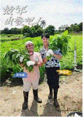 素人综艺镜头分配影视评论配图